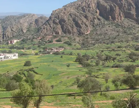 ملياري درهم لتهيئة الغابات بالمغرب خلال 2022