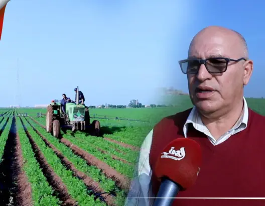 مواطنون ببرشيد يشكون ندرة المياه بسبب زراعة هكتارات من الجزر(فيديو)