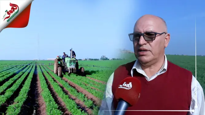 مواطنون ببرشيد يشكون ندرة المياه بسبب زراعة هكتارات من الجزر(فيديو)