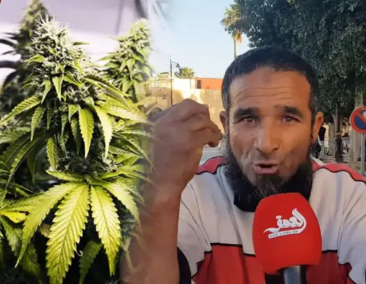 اللحية محيح بأزمور.. مغربي يرفض تقنين “الكيف” ويهاجم الحكومة.. “زرعتو فينا السم.. وخلو الشعب يعيش” (فيديو)