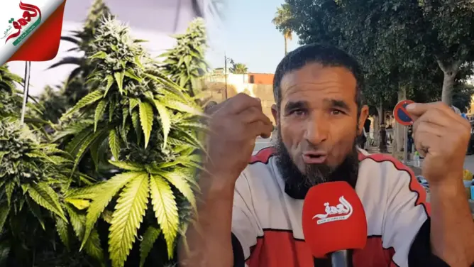 اللحية محيح بأزمور.. مغربي يرفض تقنين “الكيف” ويهاجم الحكومة.. “زرعتو فينا السم.. وخلو الشعب يعيش” (فيديو)