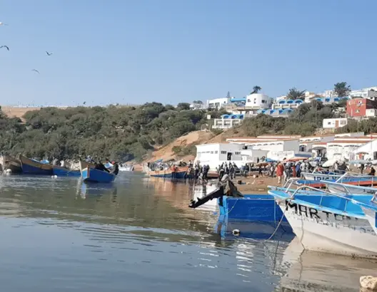مولاي بوسلهام
