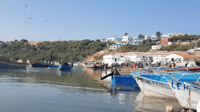 مولاي بوسلهام