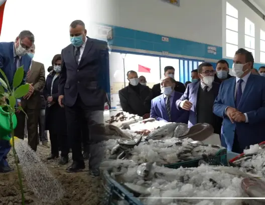 منها سوق للسمك و600 هتكار من “الأفوكا”.. أخنوش يطلق عدة مشاريع تنموية بشفشاون وتطوان(فيديو )
