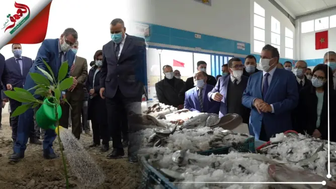 منها سوق للسمك و600 هتكار من “الأفوكا”.. أخنوش يطلق عدة مشاريع تنموية بشفشاون وتطوان(فيديو )