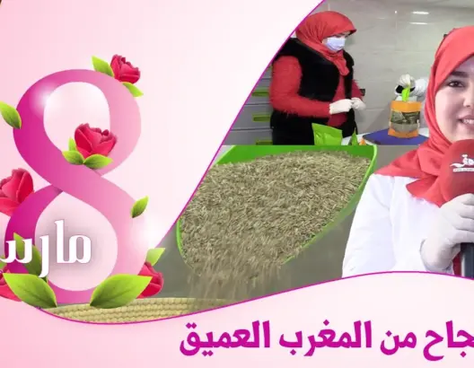 حياة .. قصة نجاح فتاة قروية تحدت الظروف وأسست أول تعاونية بفكيك (فيديو)