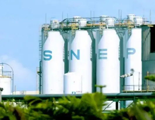 استثمارات “SNEP” تسجل ارتفاعا قياسيا بـ 83 % في سنة 2020