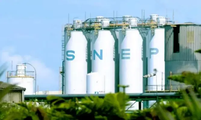 استثمارات “SNEP” تسجل ارتفاعا قياسيا بـ 83 % في سنة 2020
