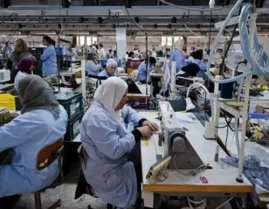 تقرير رسمي: 54% من المستخدمين بدون عقود عمل و25% بدون تغطية صحية