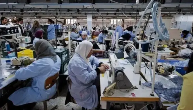 تقرير رسمي: 54% من المستخدمين بدون عقود عمل و25% بدون تغطية صحية