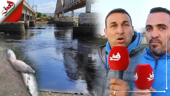إسوَّد لونه ونفقت أسماكه.. كارثة بيئية تهدد نهر أبي رقراق والساكنة تدق ناقوس الخطر (فيديو)