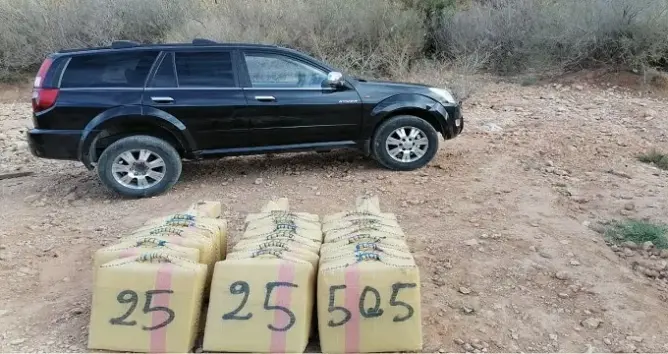 الحرب على شبكات تهريب المخدرات متواصلة .. توقيف عنصر بالرشيدية بحوزته نصف طن