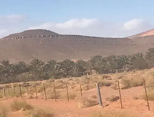 “الاستقلال”: ما تقوم به الجزائر قرب فجيج عمل استفزازي ويجب التصدي لأي تحرشات