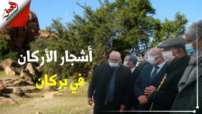 بركان.. توقيع اتفاقية لتثمين أشجار الأركان بمنطقة الشويحية ( فيديو)
