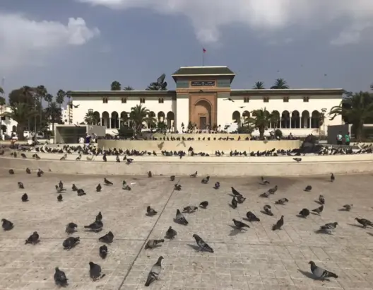الدار البيضاء.. البام يترأس مجلسي مقاطعتي سيدي بليوط وسيدي البرنوصي