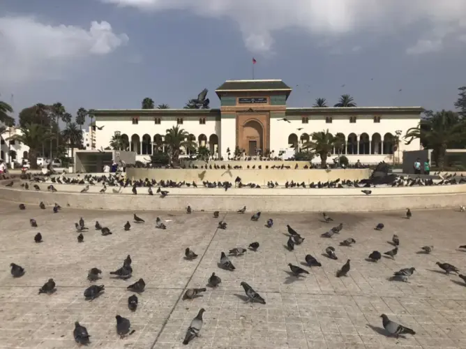 الدار البيضاء.. البام يترأس مجلسي مقاطعتي سيدي بليوط وسيدي البرنوصي