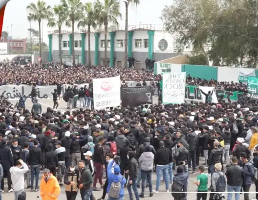“سكوادرا” يقود “تمردا أخضر” للمطالبة برحيل السلامي ومكتب الرجاء (فيديو)