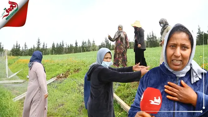 مقاول يترامى على أرض وريثات نواحي سلا.. والمتضررات: “حكرنا وتعدا علينا” (فيديو)