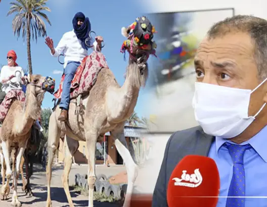 الشامي: قطاع السياحة أكثر المتضررين من جائحة كوفيد