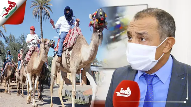 الشامي: قطاع السياحة أكثر المتضررين من جائحة كوفيد