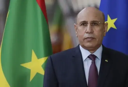 محمد ولد الشيخ محمد أحمد ولد الغزواني
