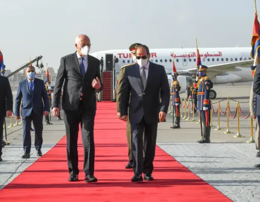 المرزوقي يهاجم قيس بسبب زيارته لمصر: لم يعد يمثل استقلال تونس وشرفها