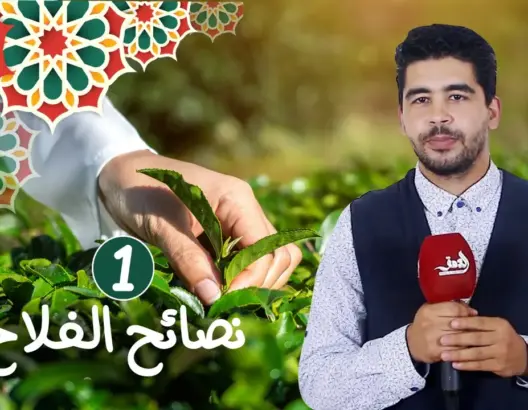 فلاحتنا (ح 1) .. هذه مراحل تطور الفلاحة ودورها في تغيير عيش الإنسان