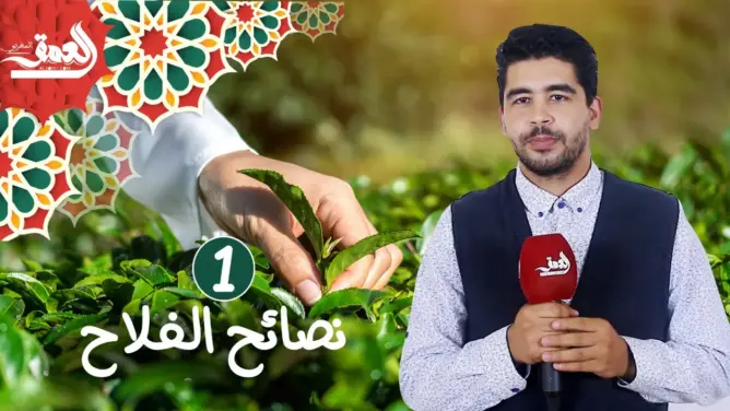 فلاحتنا (ح 1) .. هذه مراحل تطور الفلاحة ودورها في تغيير عيش الإنسان