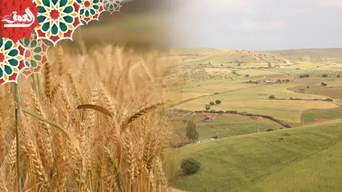 مناظر غاية في الروعة والجمال من المناطق الفلاحية بإقليم الخميسات (فيديو)