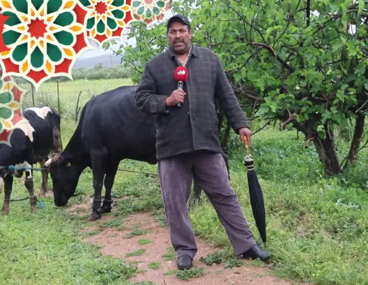 التساقطات المطرية الأخيرة تنثر الفرحة في صفوف فلاحي الحاجب (فيديو)