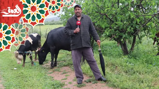 التساقطات المطرية الأخيرة تنثر الفرحة في صفوف فلاحي الحاجب (فيديو)