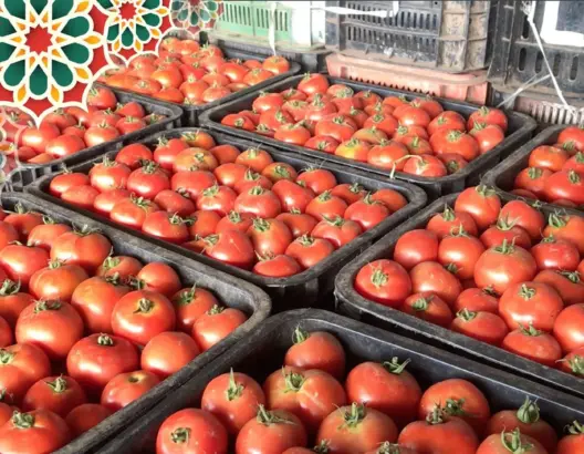 تاجر بسوق الجملة بالدار البيضاء يشرح أسباب غلاء الطماطم خلال رمضان
