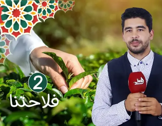 فلاحتنا (ح2): أنواع الفلاحة المعيشية والمكثفة والشاسعة والفرق بينها في الـ”بيو” (فيديو)