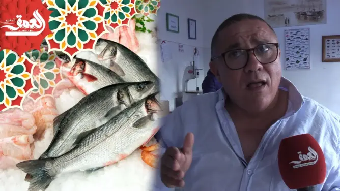 ارتفاع أسعار السمك.. بحار يكشف المستور: ثمن السردين لا يتجاوز 3 دراهم (فيديو)