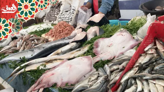 جولة داخل سوق للسمك بالبيضاء.. باعة: يكشفون أسباب ارتفاع الأسعار