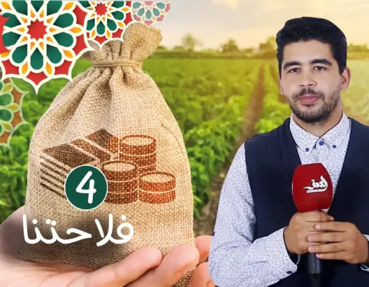 فلاحتنا ح4.. أهداف مخطط الجيل الأخضر ودوره في دعم الشباب للاستثمار في الفلاحة (فيديو)