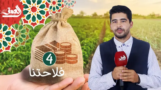 فلاحتنا ح4.. أهداف مخطط الجيل الأخضر ودوره في دعم الشباب للاستثمار في الفلاحة (فيديو)