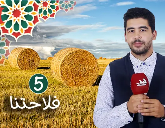 “فلاحتنا” (ح5): كيفية الاستثمار في الفلاحة وتقسيم الميزانية واختيار المنتوج (فيديو)