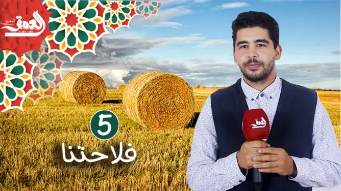 “فلاحتنا” (ح5): كيفية الاستثمار في الفلاحة وتقسيم الميزانية واختيار المنتوج (فيديو)