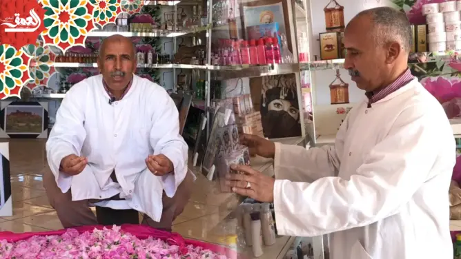 قلعة امكونة .. الطريقة التقليدية لتقطير الورد العطري ومشاكل القطاع (فيديو)