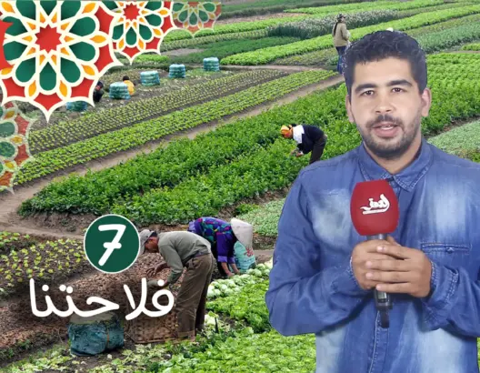 “فلاحتنا” (ح 7).. أشكال استغلال الأراضي وانعكاساتها السلبية على التنمية الفلاحية (فيديو)