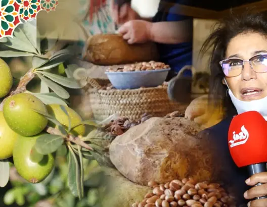 إطلاق عروض مشاريع بحثية وإحداث ” جوائز مخصصة للبحث حول شجرة الأركان (فيديو)