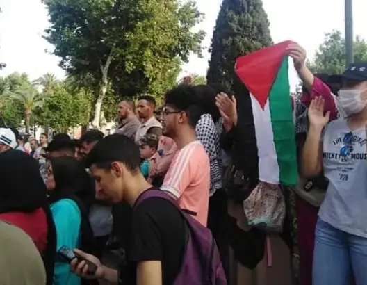 فاس تتضامن مع غزة والقدس.. احتجاجات بالعاصمة العلمية تنديدا بالعدوان الإسرائيلي