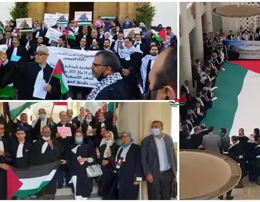 المحامون يرفعون الأعلام الفلسطينية بمحاكم المغرب ويتوعدون بمقاضاة إسرائيل (صور)