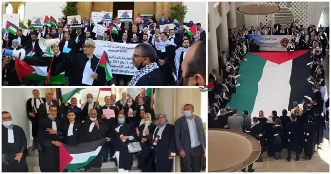 المحامون يرفعون الأعلام الفلسطينية بمحاكم المغرب ويتوعدون بمقاضاة إسرائيل (صور)