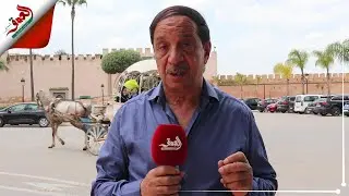 تراث مكناس العالمي (الحلقة 10).. برامج تثمين المدينة العتيقة (فيديو)