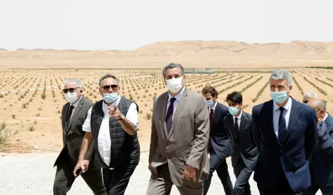 أخنوش يطلع على تقدم أشغال 3 مشاريع فلاحية بالراشيدية