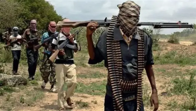 ارتفاع عدد ضحايا هجوم لصوص ماشية على قرى شمال نيجيريا إلى 88 قتيلا