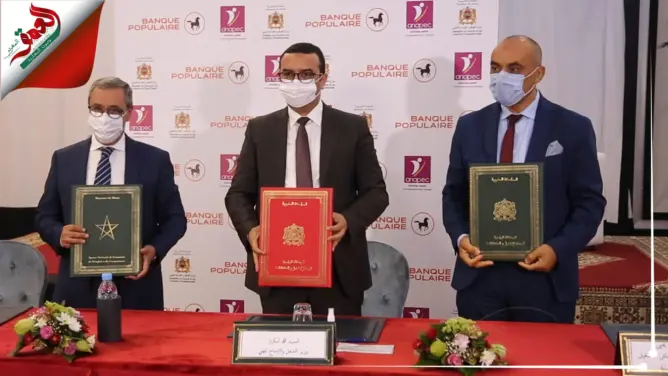 دُفعة قوية لبرنامج “إنطلاقة” .. توقيع اتفاقية بين وزارة الشغل و”أنابيك” والبنك الشعبي(فيديو)