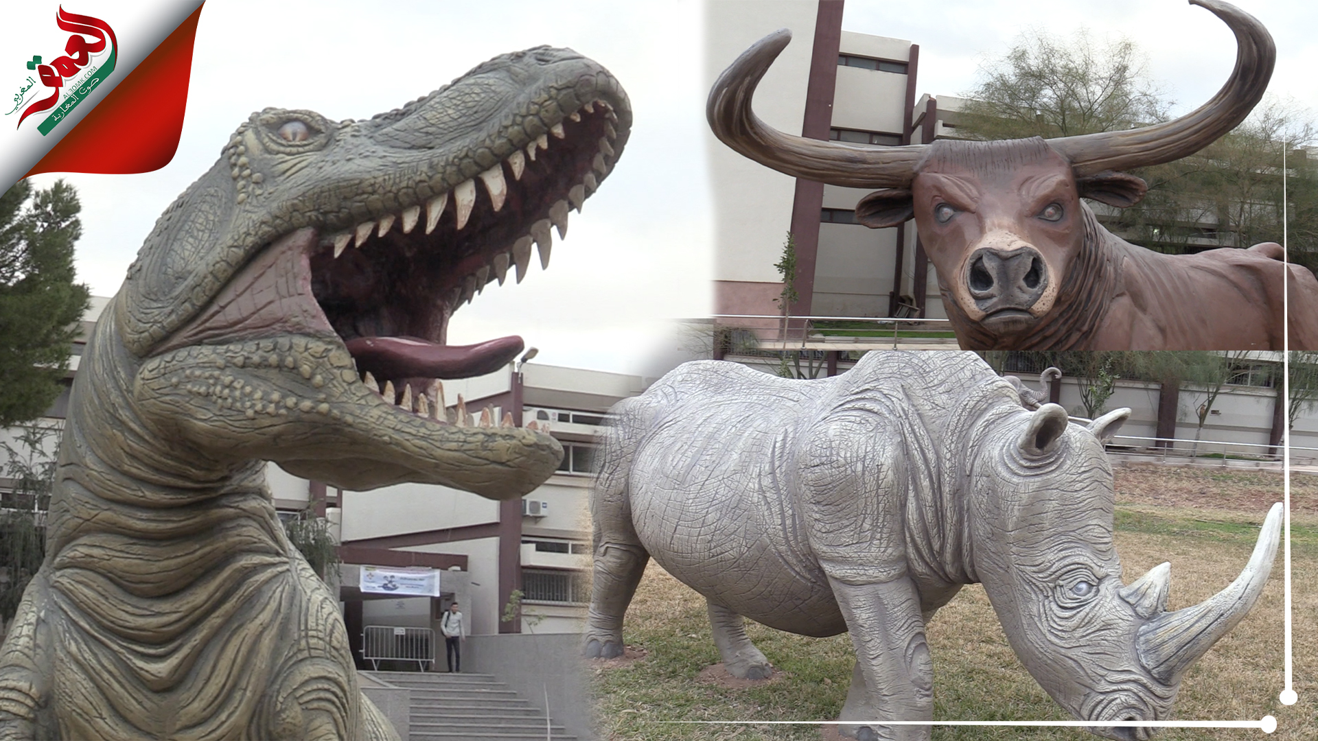 وحيد القرن،ديناصورات وثيران عملاقة... متحف وجدة يؤرخ للحيوانات التي عاشت بجهة الشرق قبل قرون
